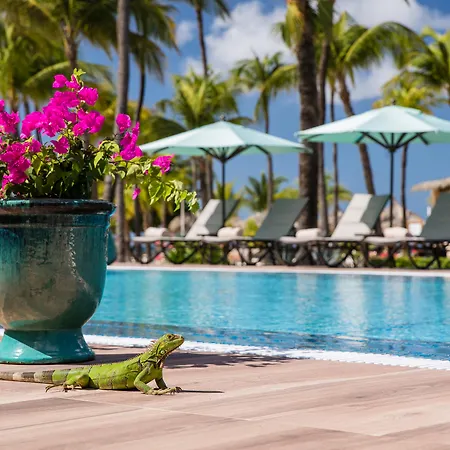 Manchebo Beach Resort And Spa-3